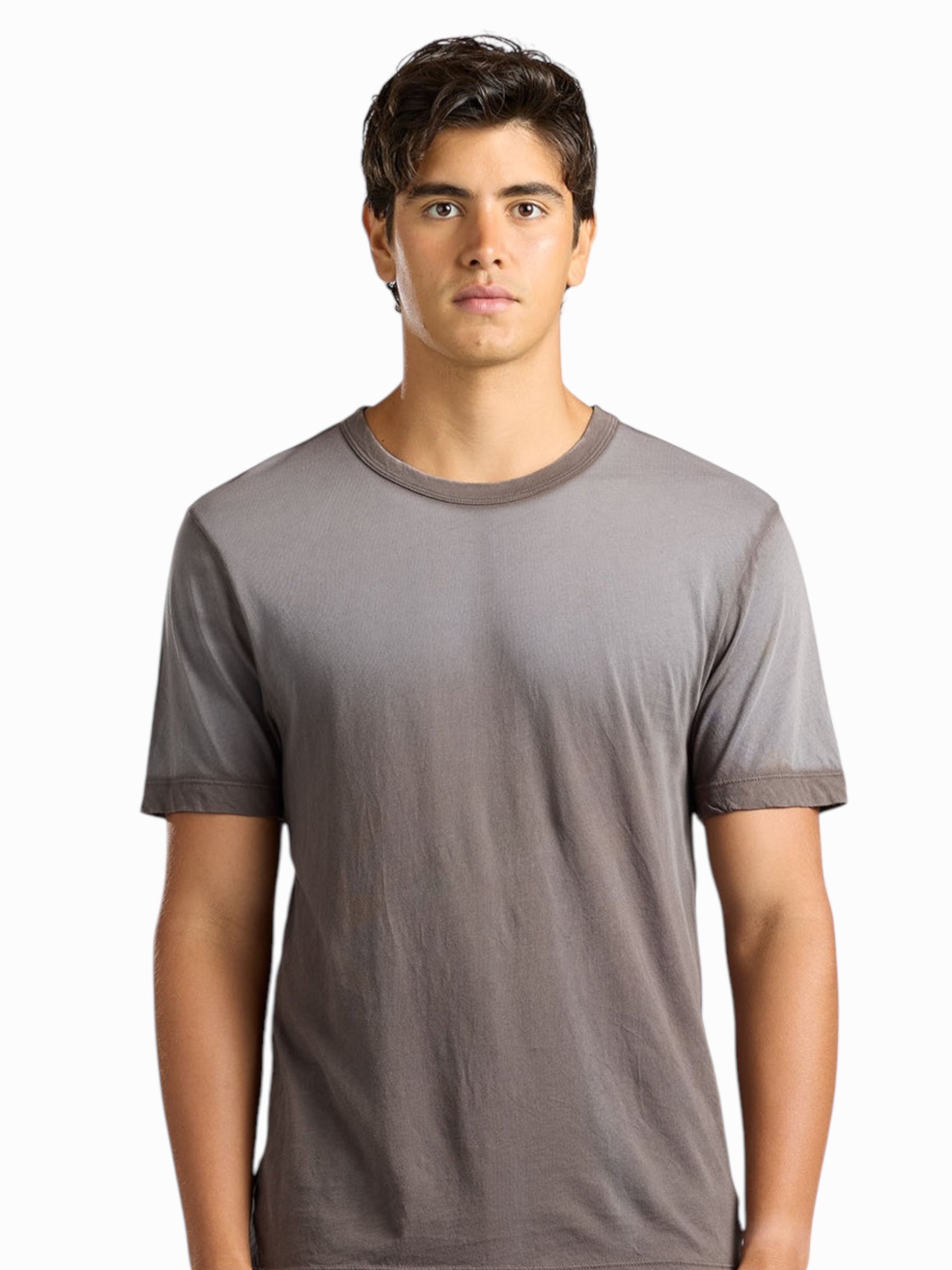 Cotton Citizen Prince Tee “Stone Cast”