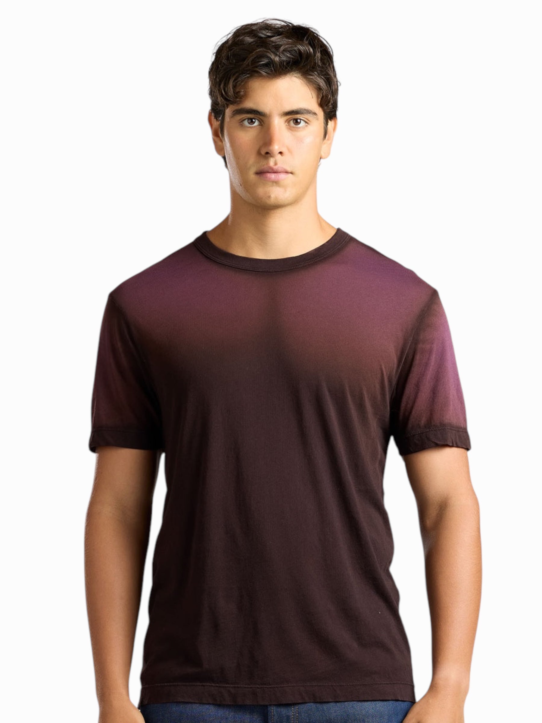 Cotton Citizen Prince Tee “Eggplant Cast”