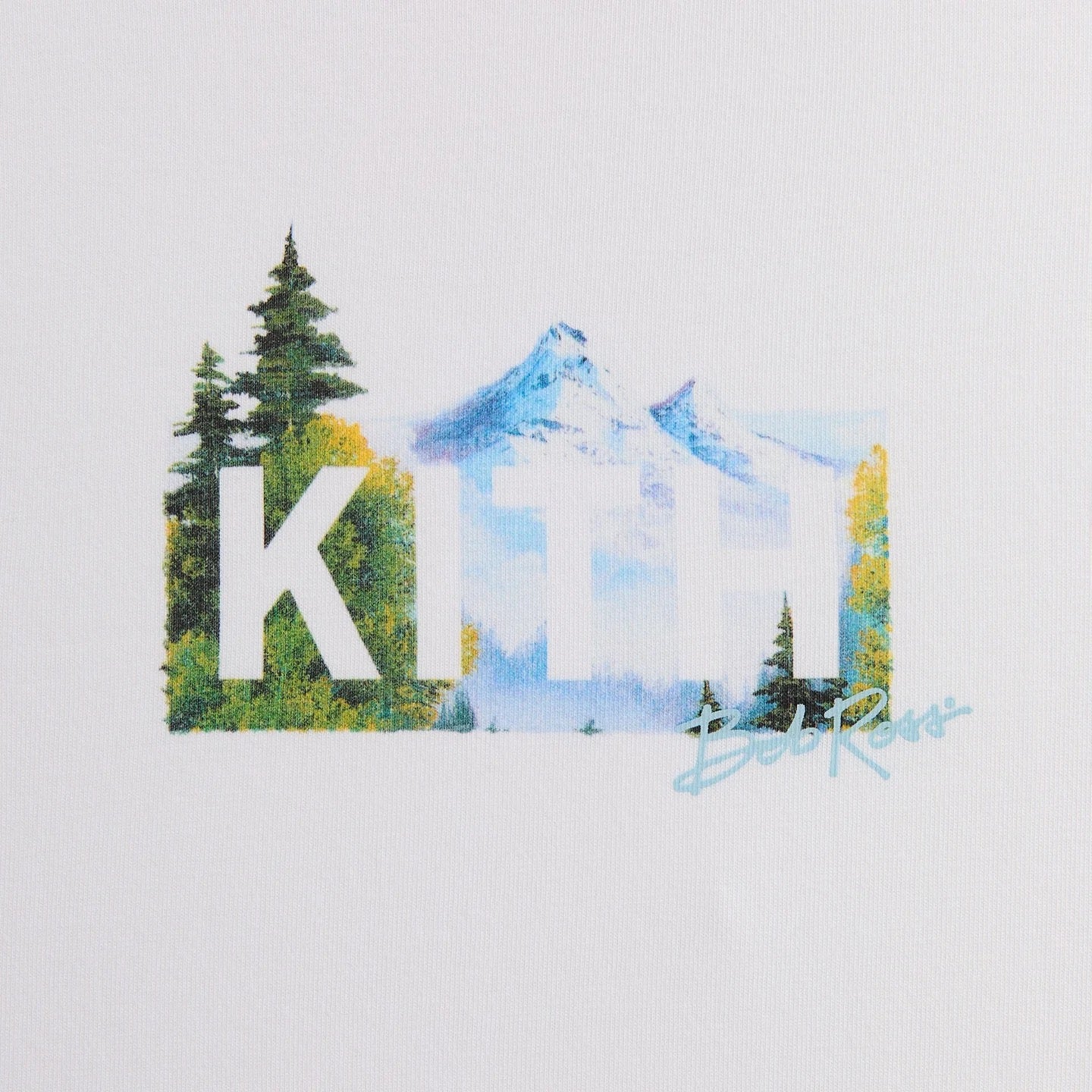 Kith T Shirt “Mountain Classic”