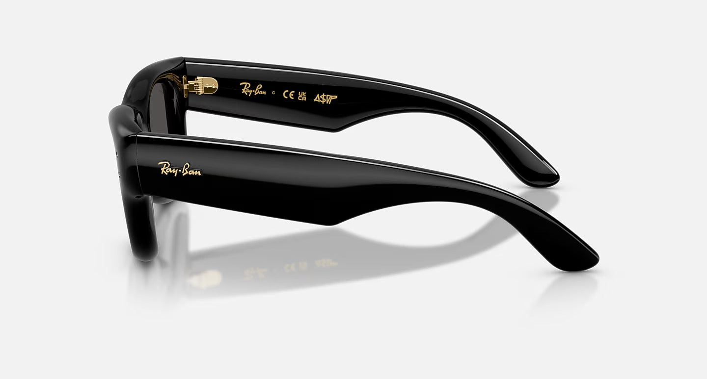 Ray Ban x ASAP ROCKY Sunglasses “Wayfarer Puffer”