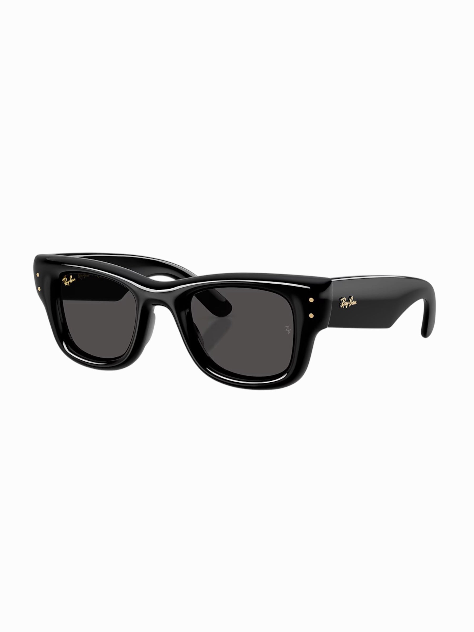 Ray Ban x ASAP ROCKY Sunglasses “Wayfarer Puffer”