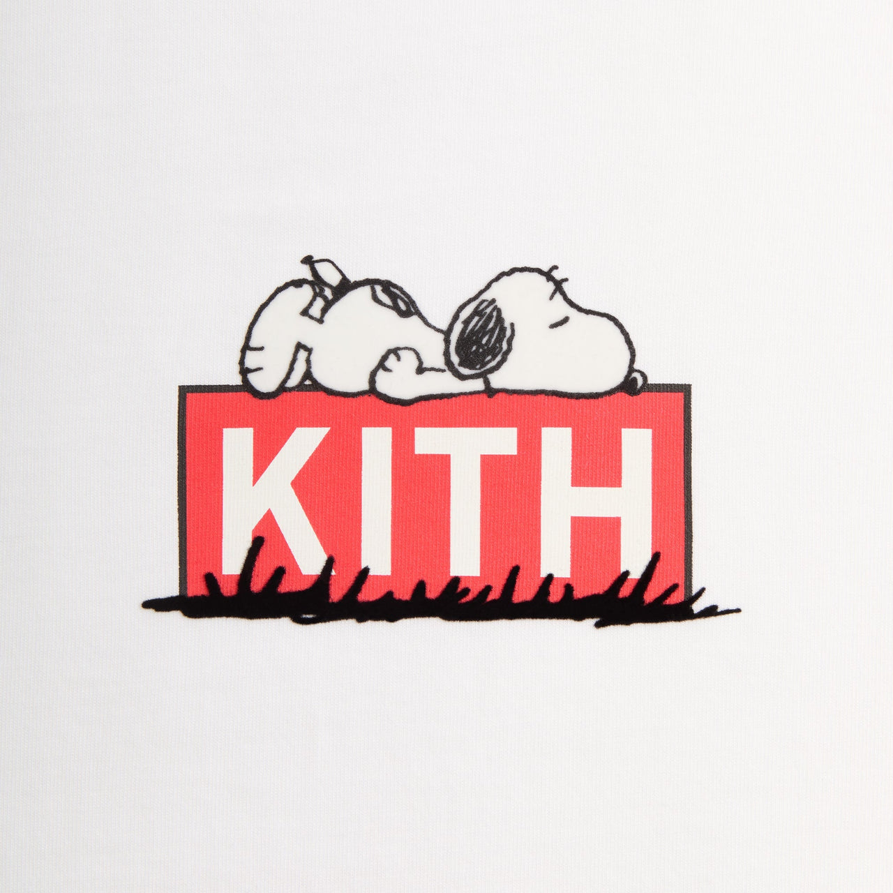 Kith x Peanuts T Shirt “Doghouse Classic Logo”