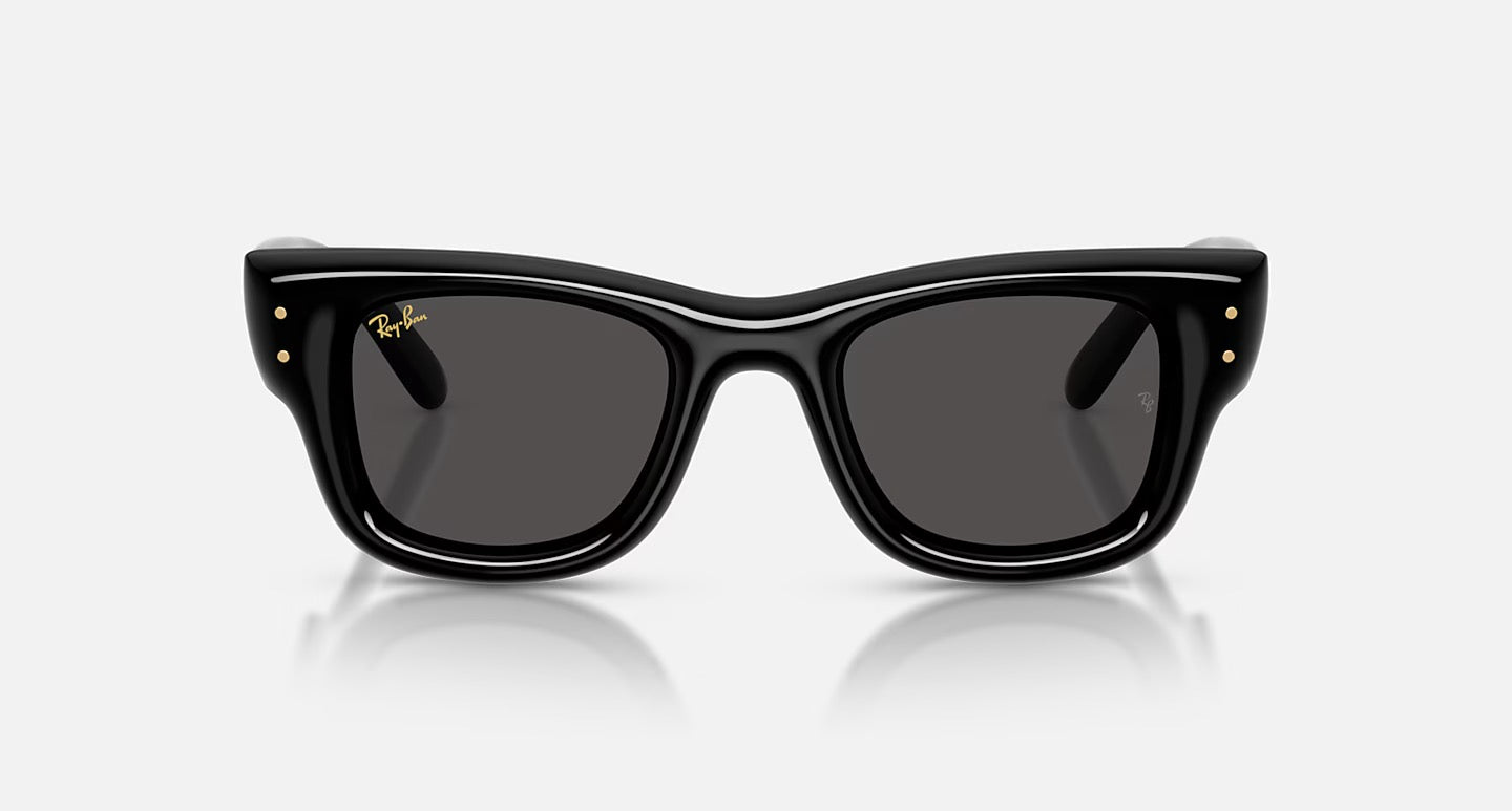 Ray Ban x ASAP ROCKY Sunglasses “Wayfarer Puffer”